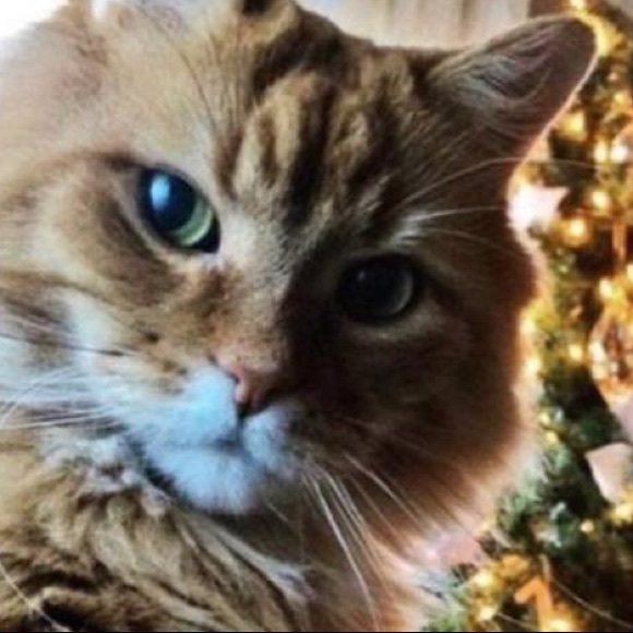 Meet your Posher, Johanna - Picture 1 of 1